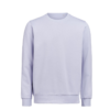 UM OCS RCS Crewneck Regular Fit