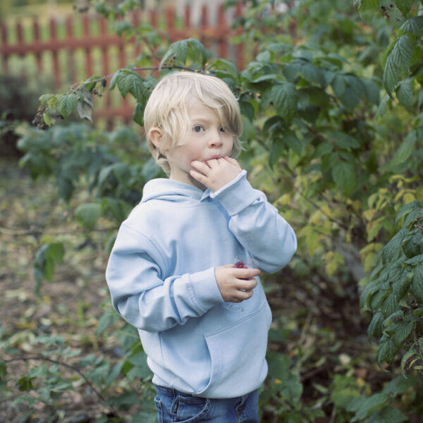 Alternative view of Hood Kid