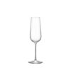 Balance champagneglas 21cl 4-pack