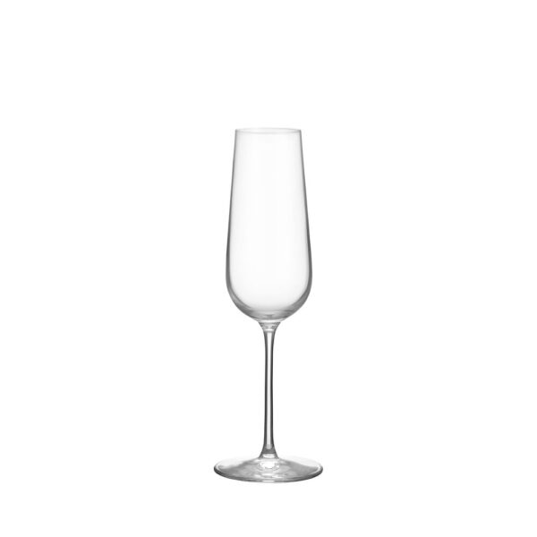 Balance champagneglas 21cl 4-pack