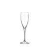 More champagneglas 18cl 4-pack