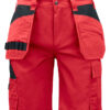 5535 Shorts