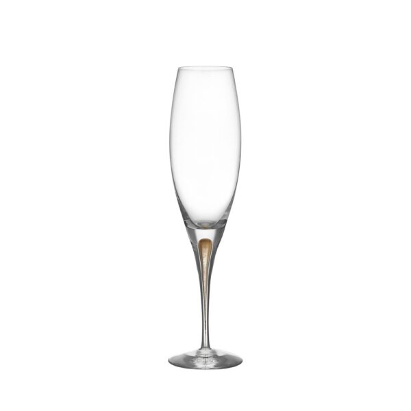Intermezzo champagneglas guld 26cl 2-pack